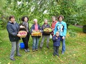 Picking in Marton 2013