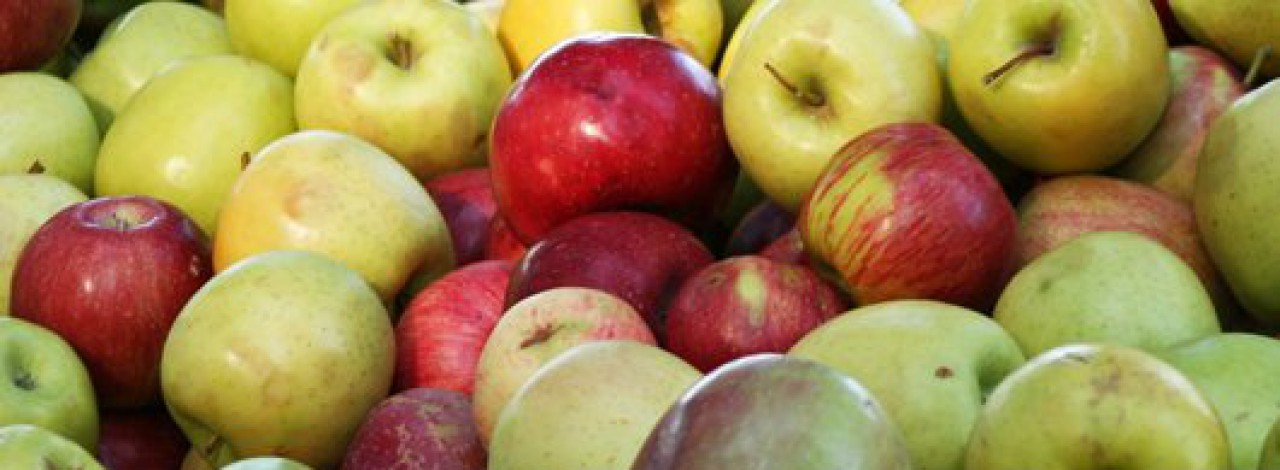 cropped-apple-mix-4.jpg
