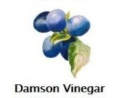 damson vinegar