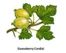 gooseberry cordial