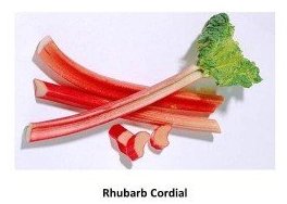 rhubarb cordial